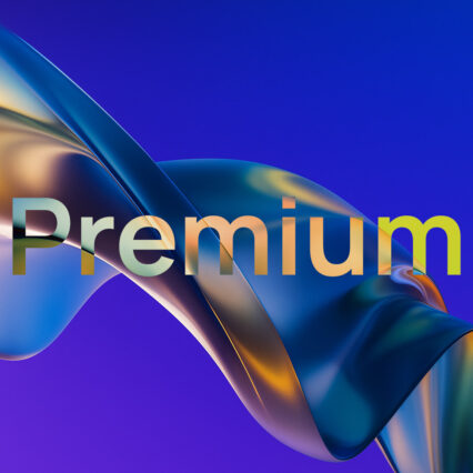 Месечен пакет за поддръжка WordPress Premium